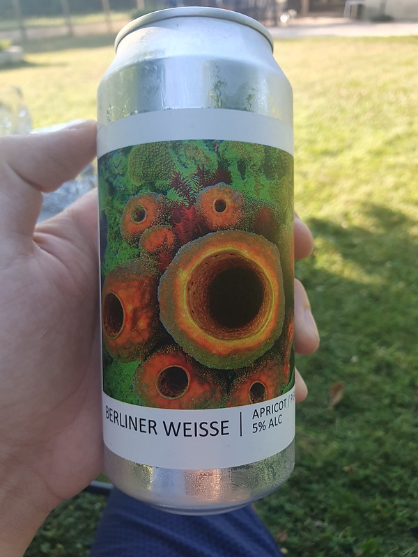 Apricot Pop Berliner Weisse